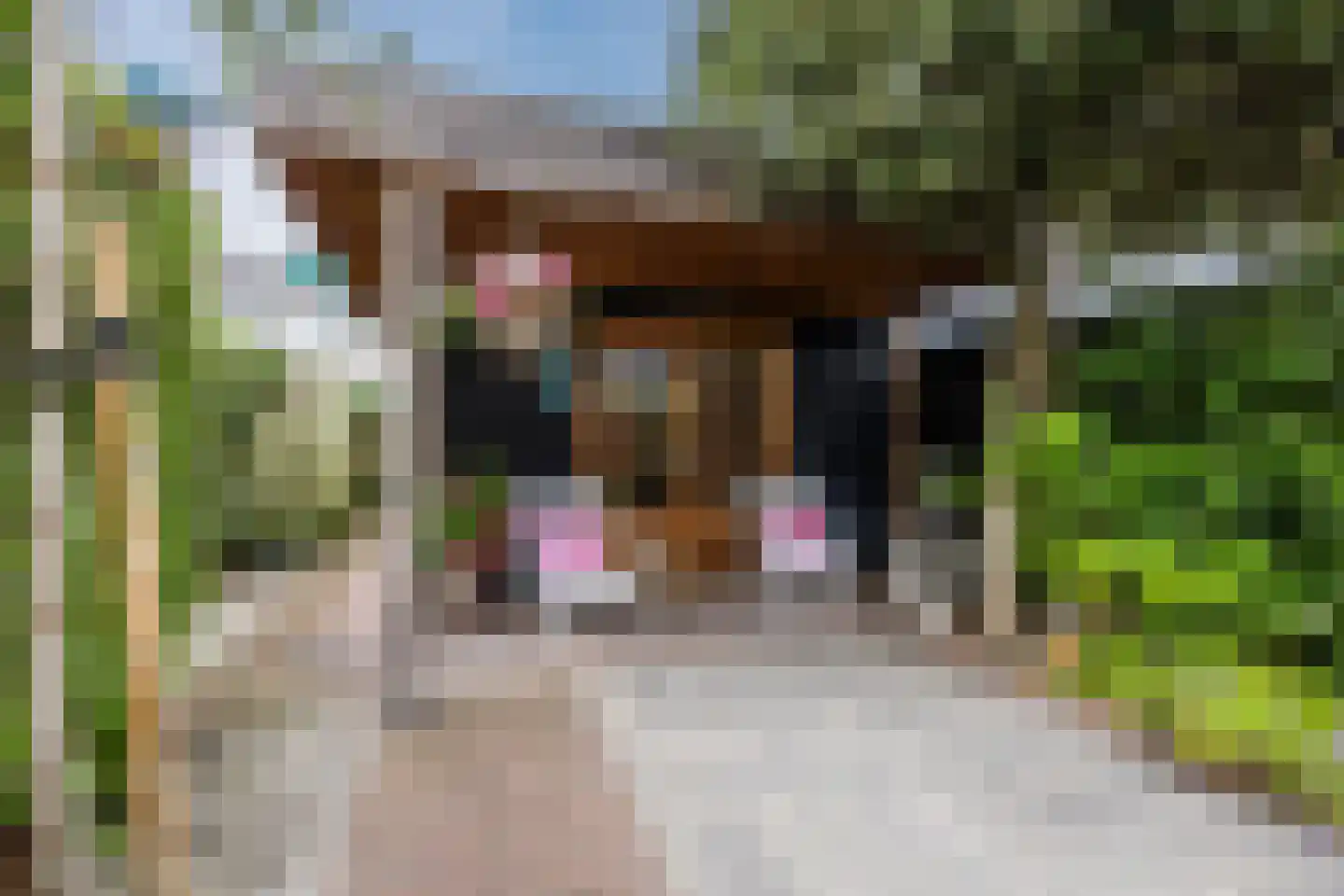 Herenweg 20 a Warmond thumbnail 32