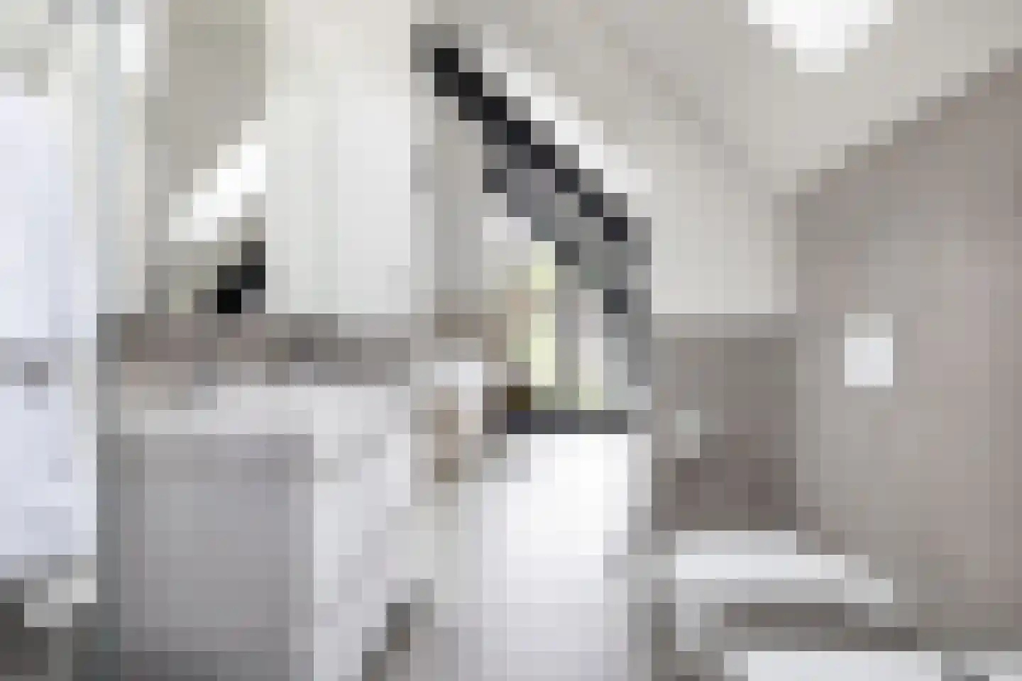 Herenweg 20 b Breukeleveen thumbnail 17