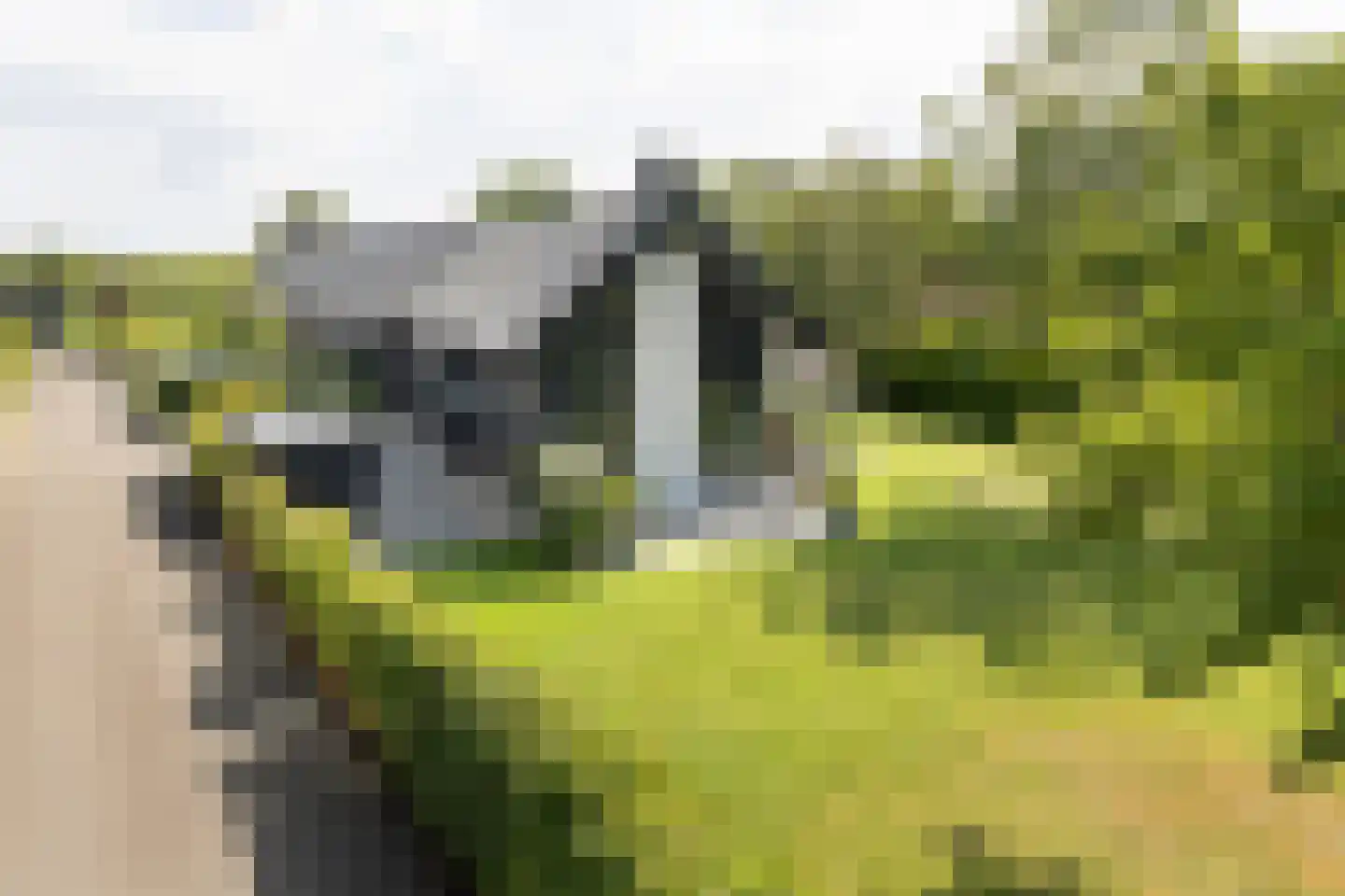 Herenweg 20 b Breukeleveen thumbnail 23