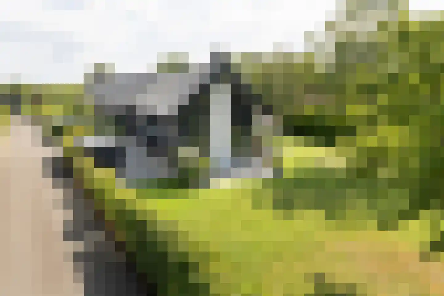 Herenweg 20 b Breukeleveen thumbnail 23