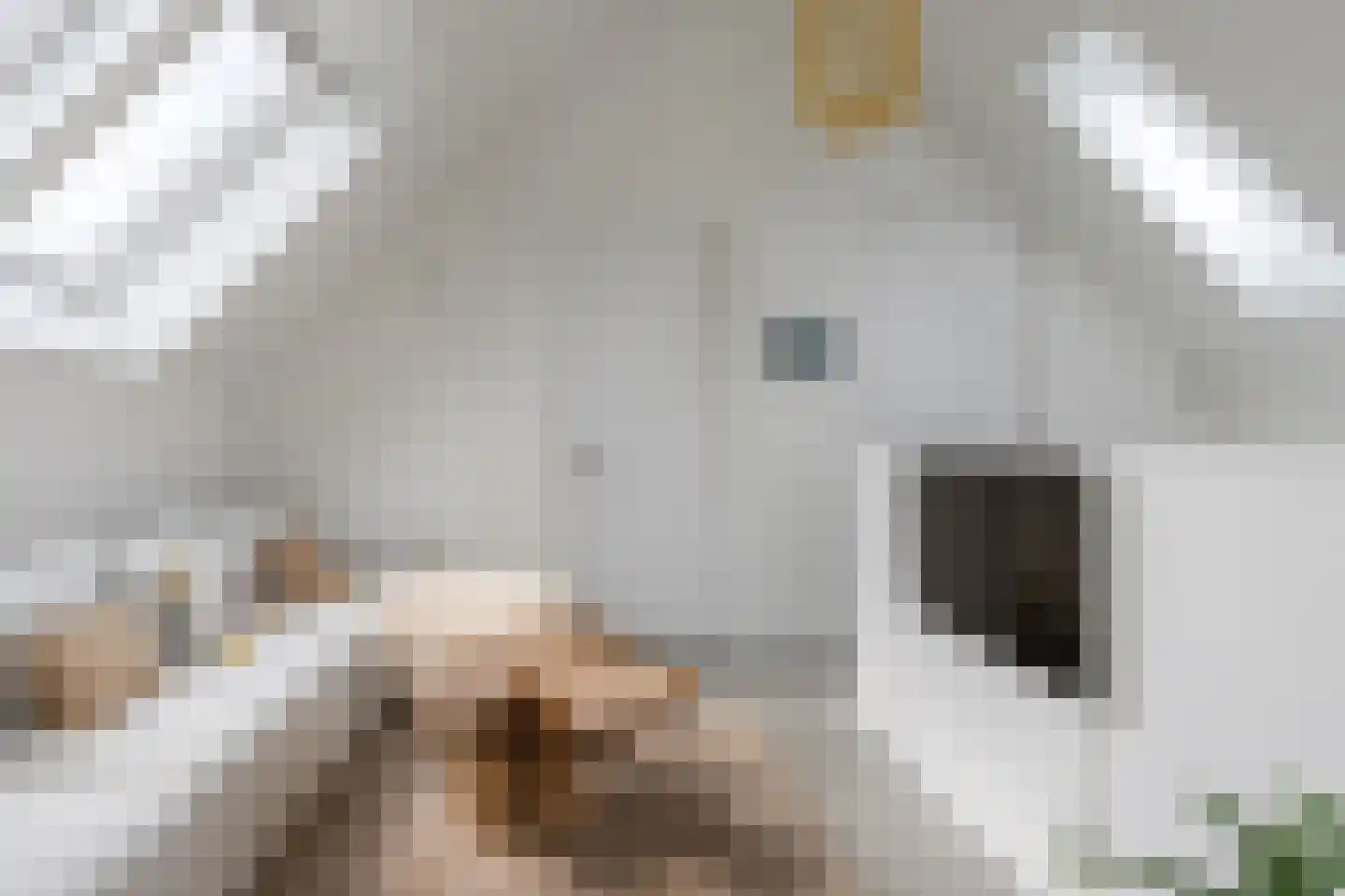 Herenweg 20 b Breukeleveen thumbnail 37