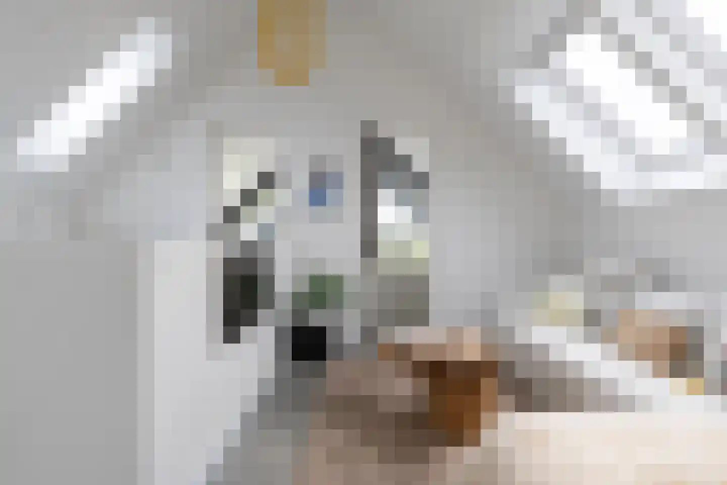 Herenweg 20 b Breukeleveen thumbnail 38