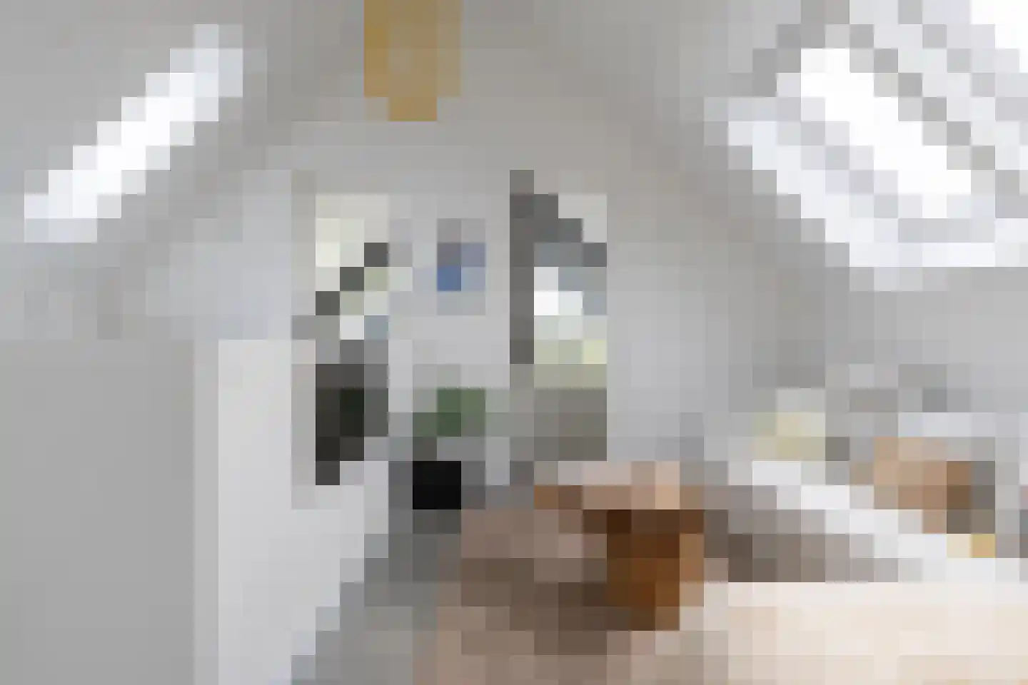 Herenweg 20 b Breukeleveen thumbnail 38
