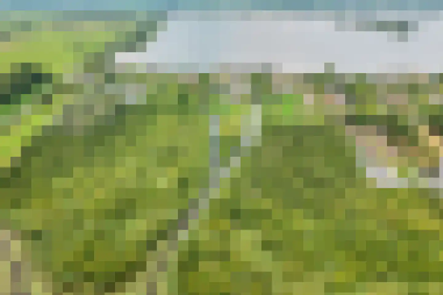 Herenweg 20 b Breukeleveen thumbnail 4