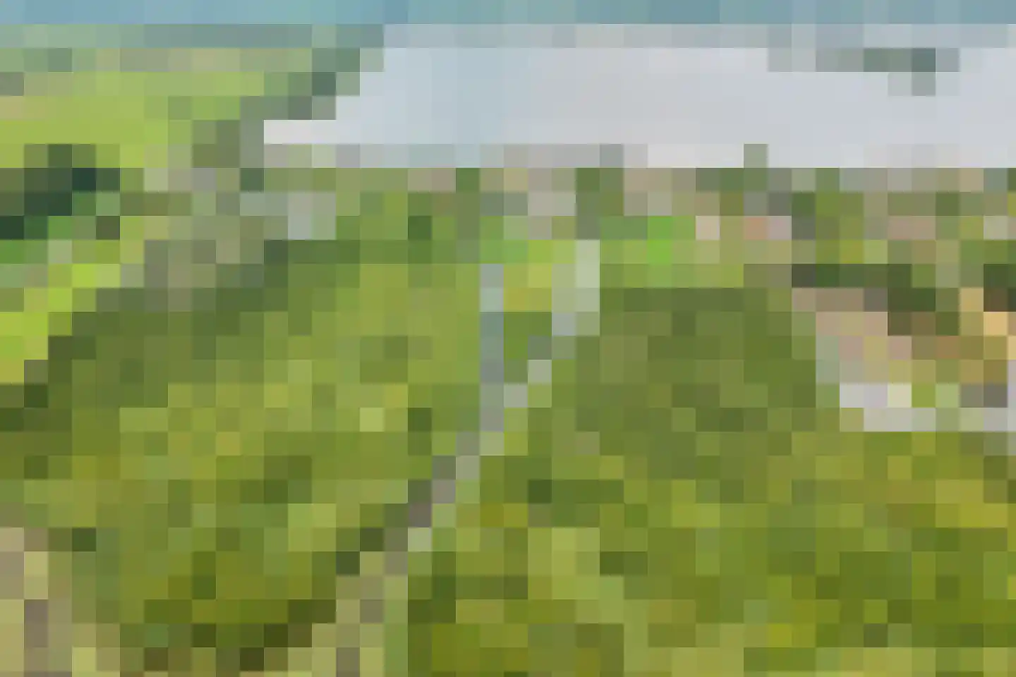 Herenweg 20 b Breukeleveen thumbnail 4