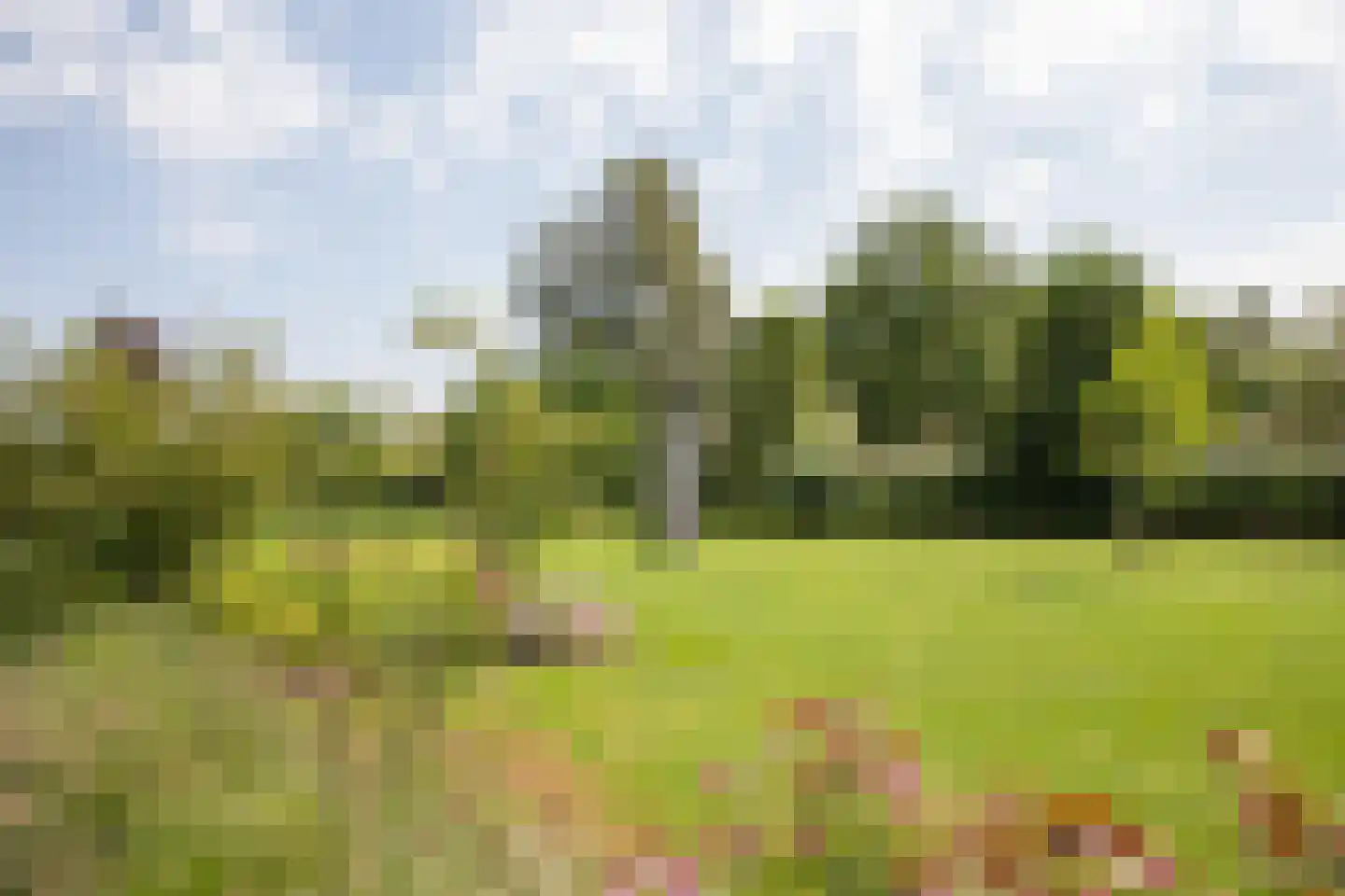 Herenweg 20 b Breukeleveen thumbnail 47