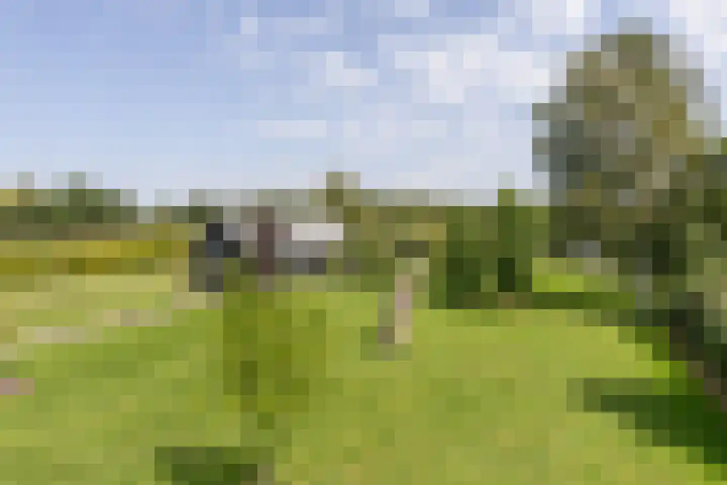 Herenweg 20 b Breukeleveen thumbnail 48