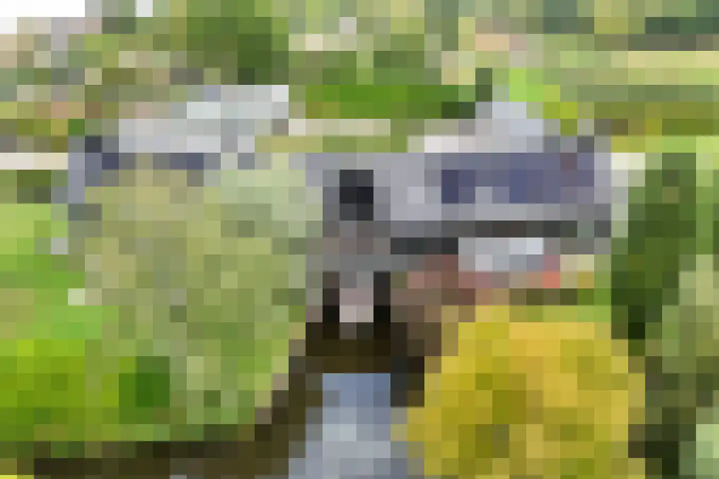 Herenweg 20 b Breukeleveen thumbnail 5