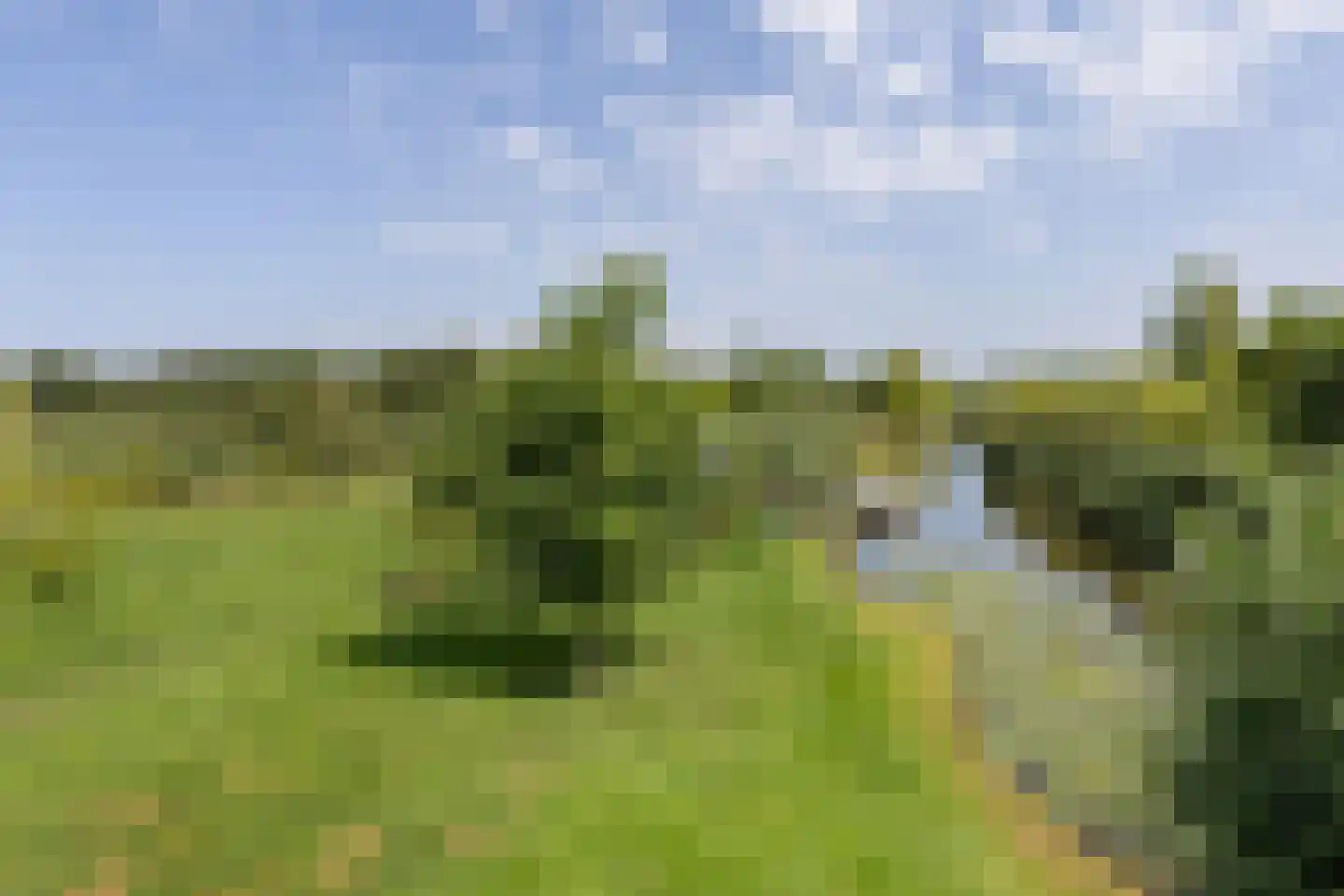 Herenweg 20 b Breukeleveen thumbnail 57