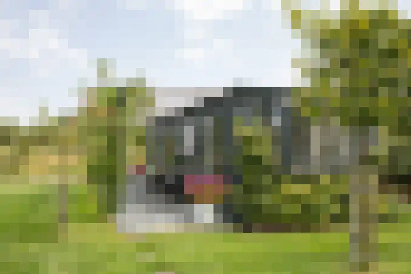 Herenweg 20 b Breukeleveen thumbnail 61