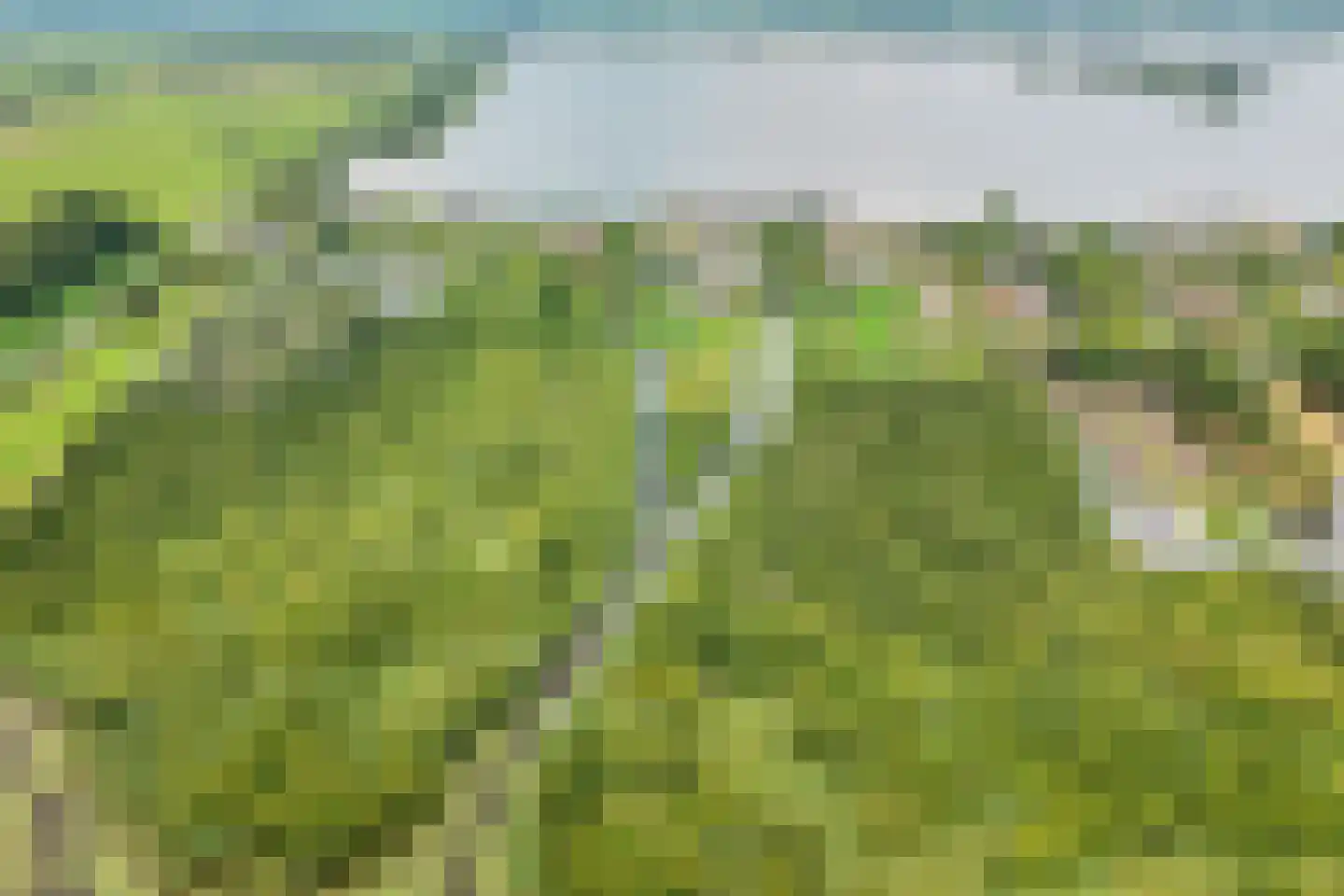 Herenweg 20 b Breukeleveen thumbnail 69