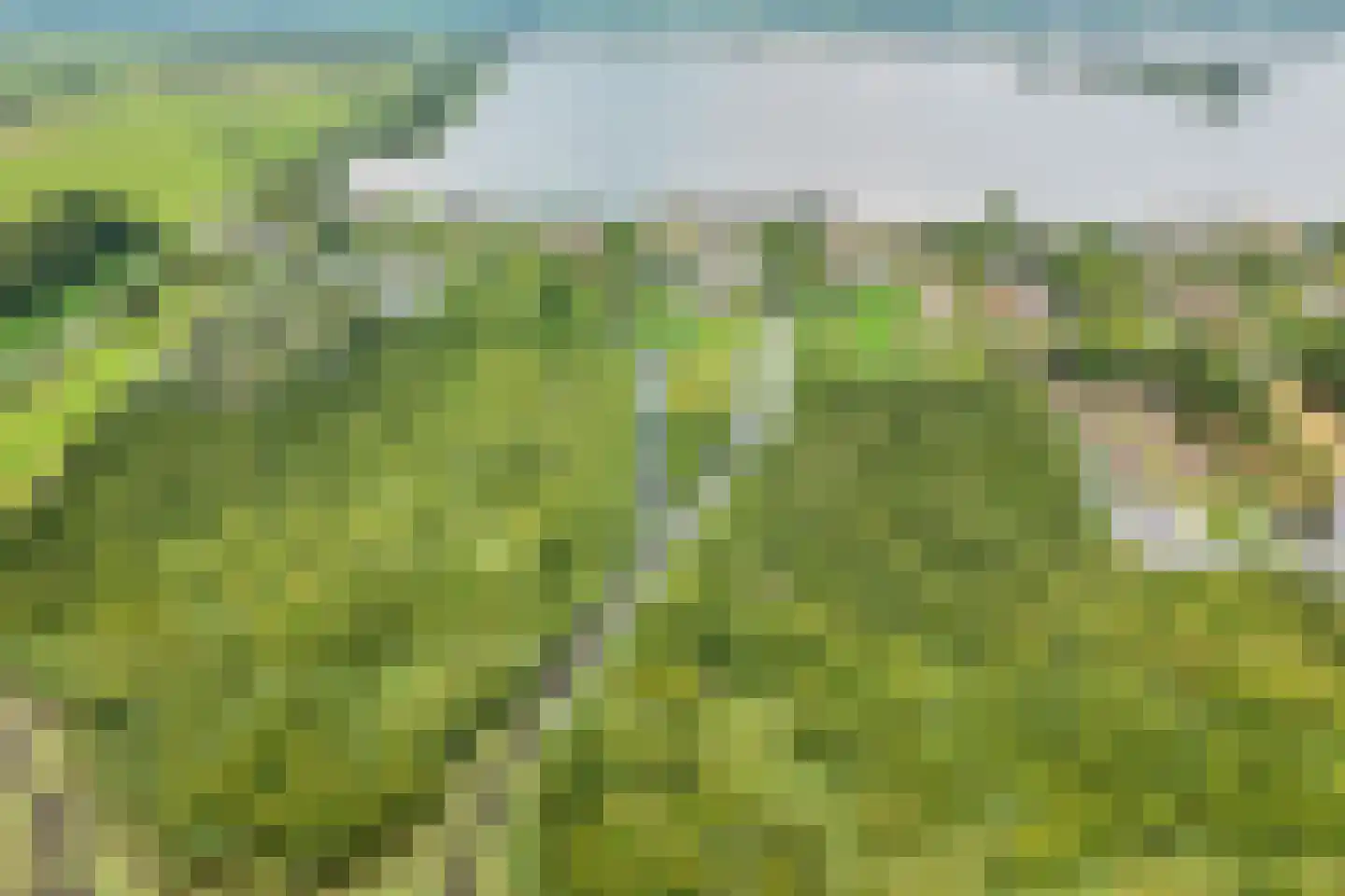 Herenweg 20 b Breukeleveen thumbnail 69