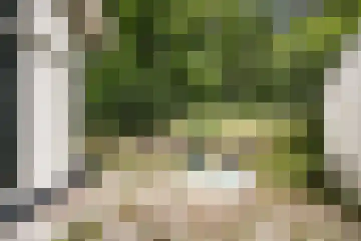 Herenweg 20 Heemstede thumbnail 17