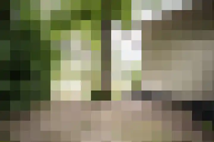 Herenweg 20 Heemstede thumbnail 18