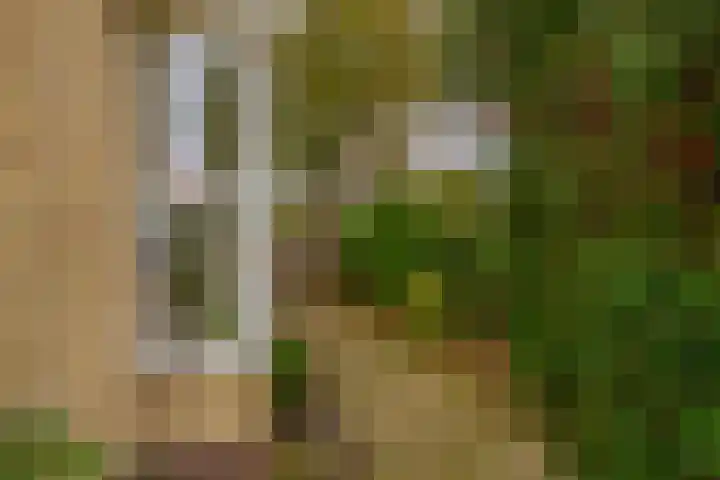 Herenweg 20 Moerkapelle thumbnail 30