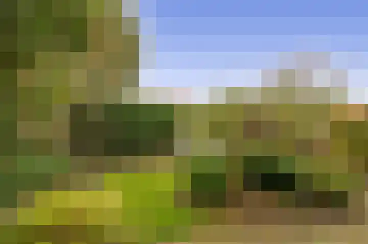 Herenweg 20 Moerkapelle thumbnail 31