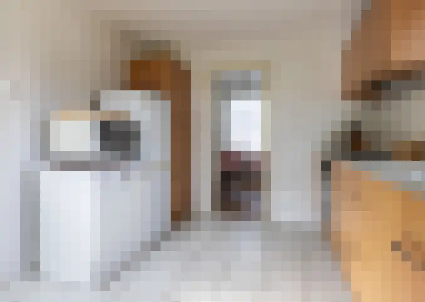 Herenweg 20 Rijnsaterwoude thumbnail 18