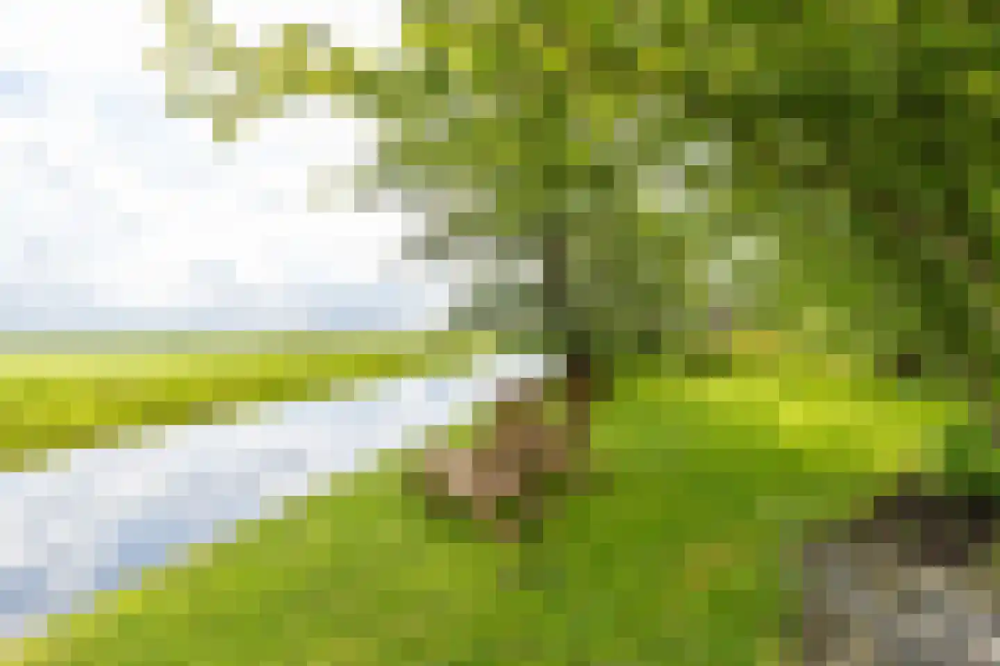 Herenweg 20 Rijnsaterwoude thumbnail 31