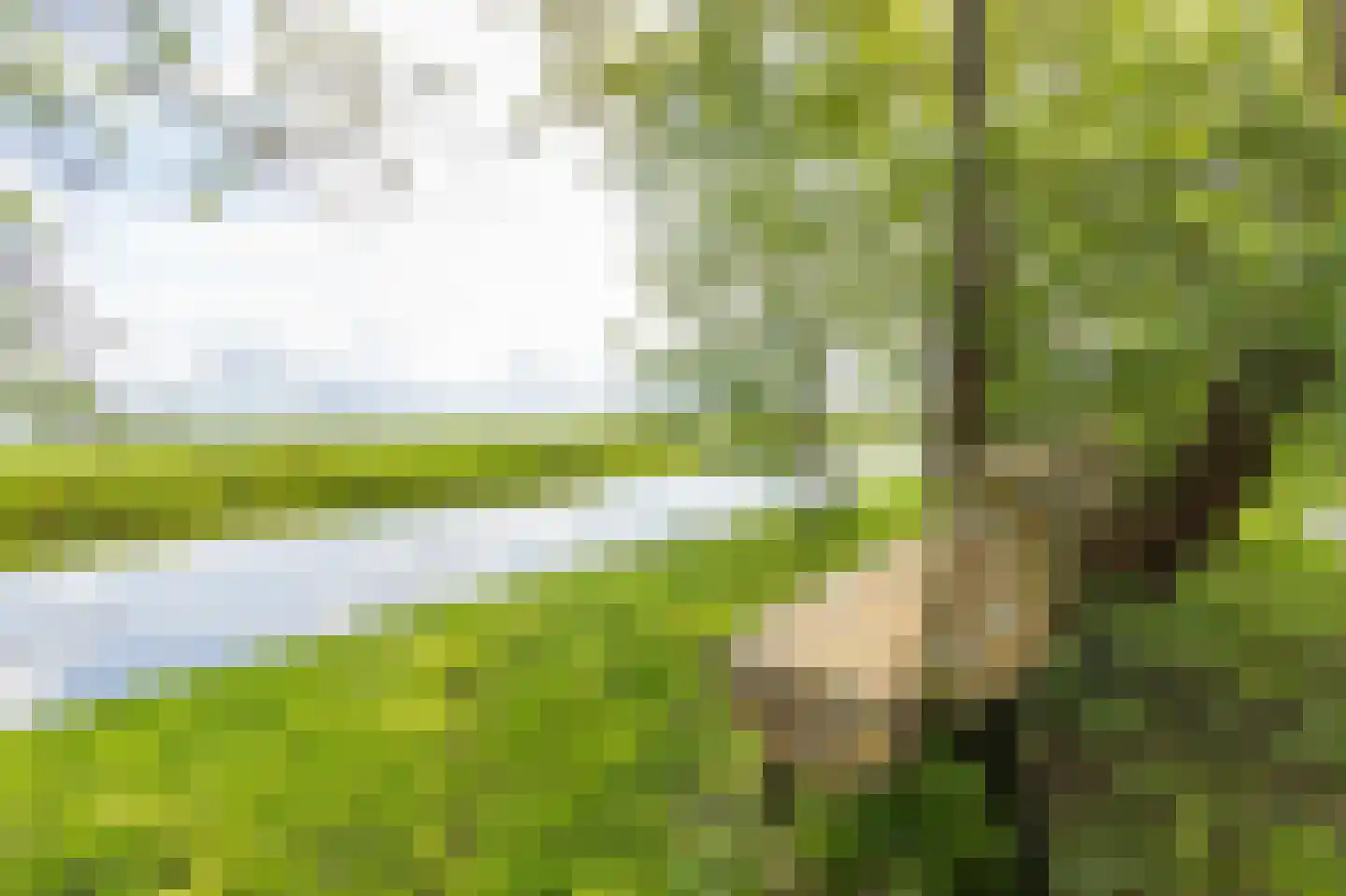 Herenweg 20 Rijnsaterwoude thumbnail 32