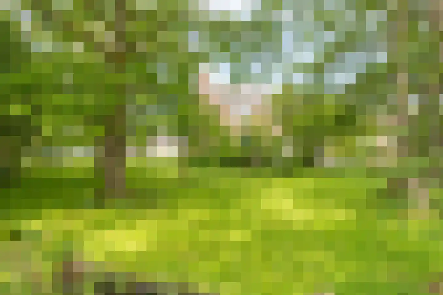 Herenweg 20 Rijnsaterwoude thumbnail 34