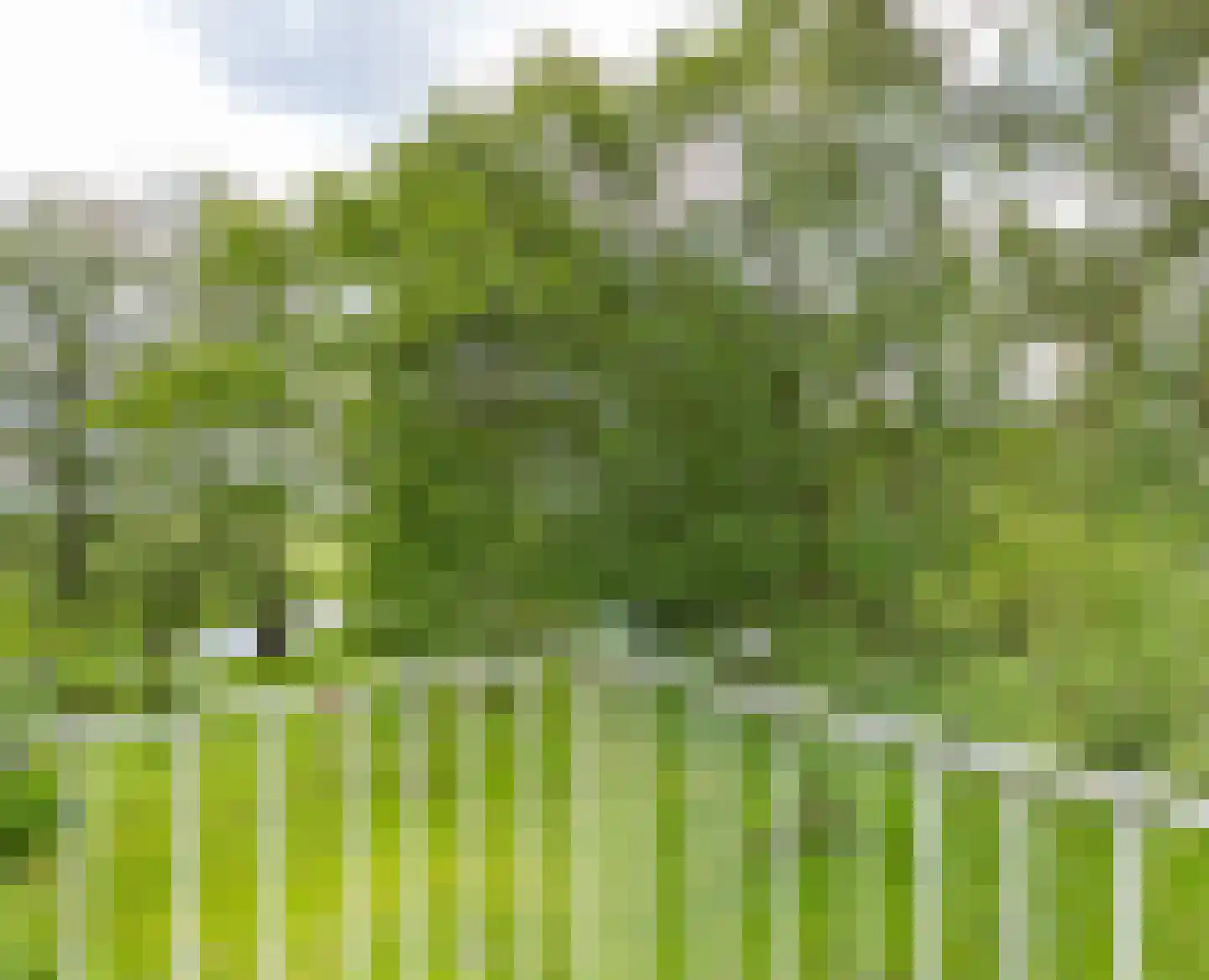 Herenweg 20 Rijnsaterwoude thumbnail 44