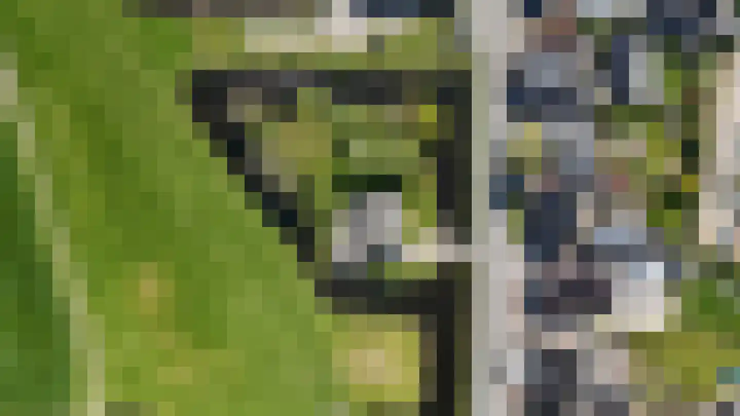 Herenweg 20 Rijnsaterwoude thumbnail 5