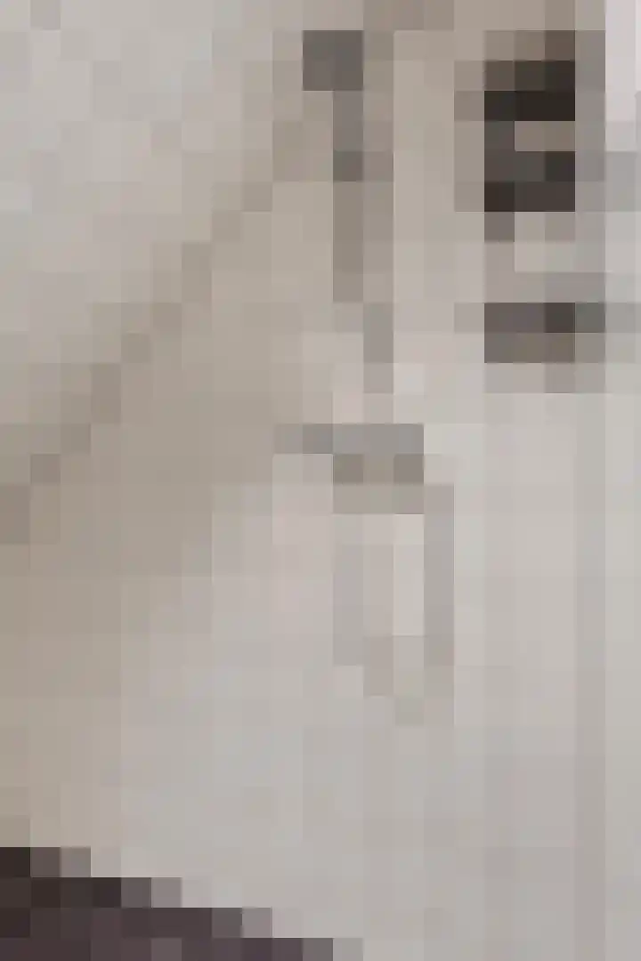 Herenweg 20 Sint Maarten thumbnail 28