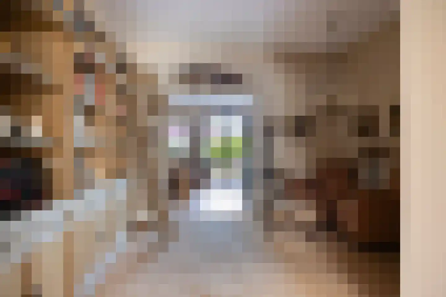 Herenweg 20 Warmond thumbnail 16
