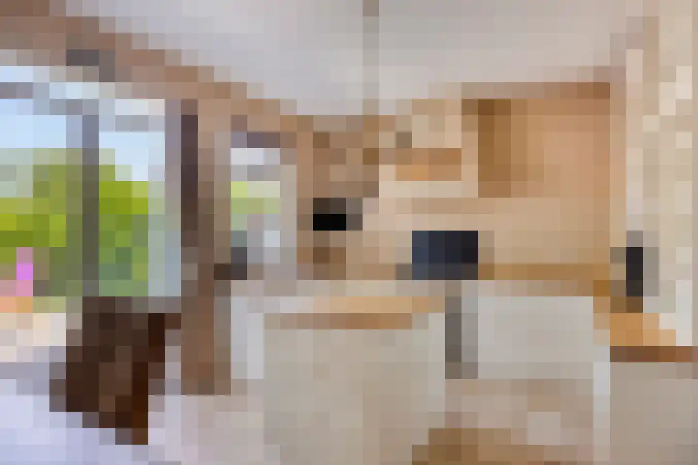 Herenweg 20 Warmond thumbnail 25