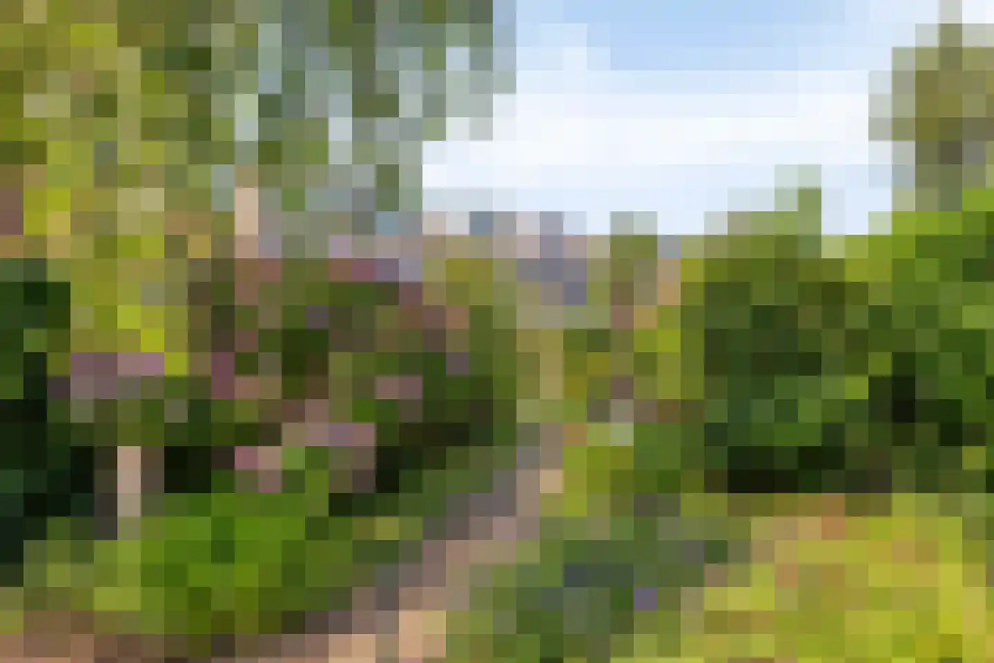 Herenweg 20 Warmond thumbnail 44