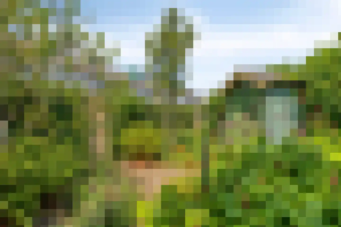 Herenweg 20 Warmond thumbnail 45