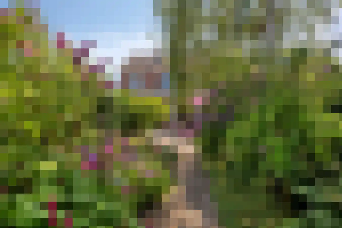 Herenweg 20 Warmond thumbnail 46