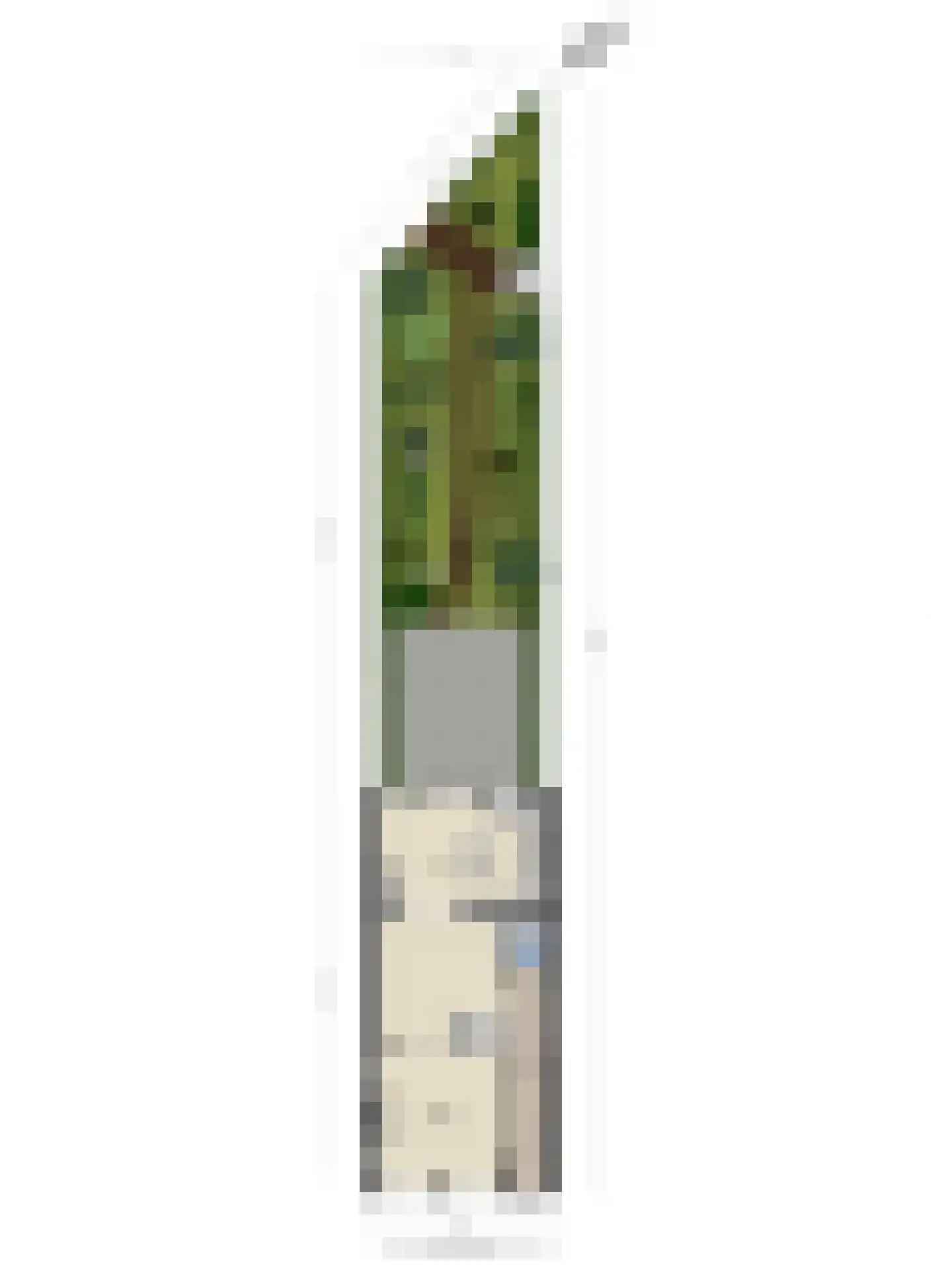 Herenweg 20 Warmond thumbnail 57