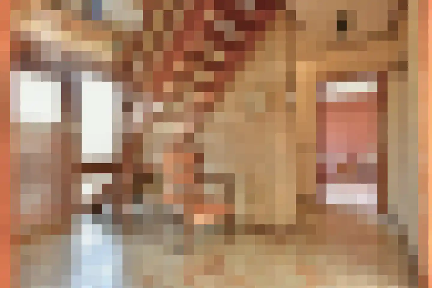 Herenweg 205 Wilnis thumbnail 15
