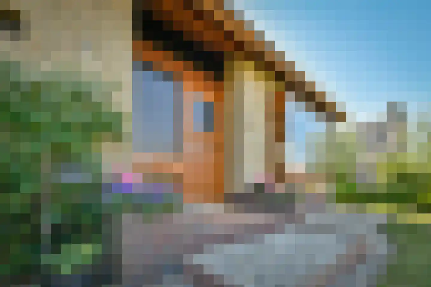 Herenweg 205 Wilnis thumbnail 34