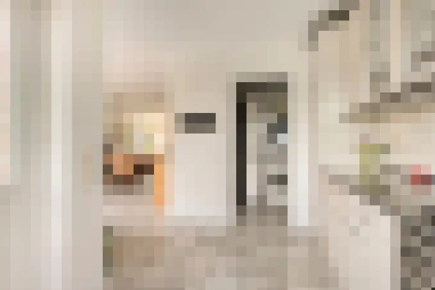 Herenweg 208 Wilnis thumbnail 11