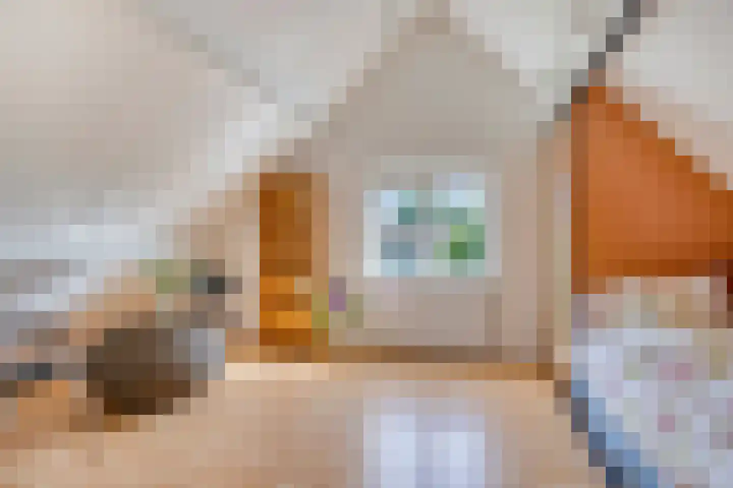 Herenweg 208 Wilnis thumbnail 27