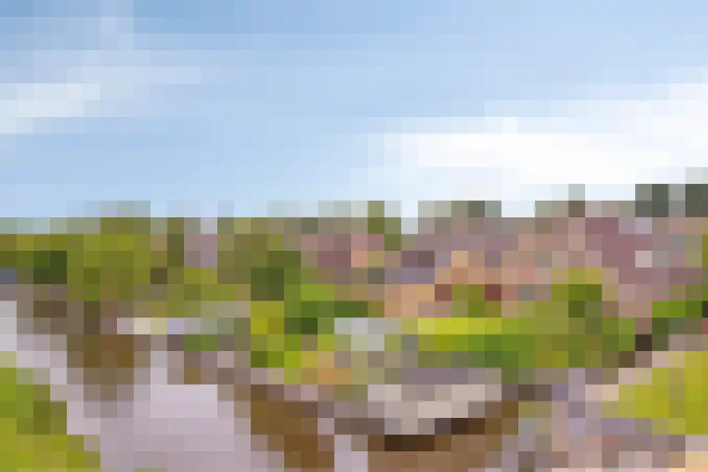 Herenweg 208 Wilnis thumbnail 4