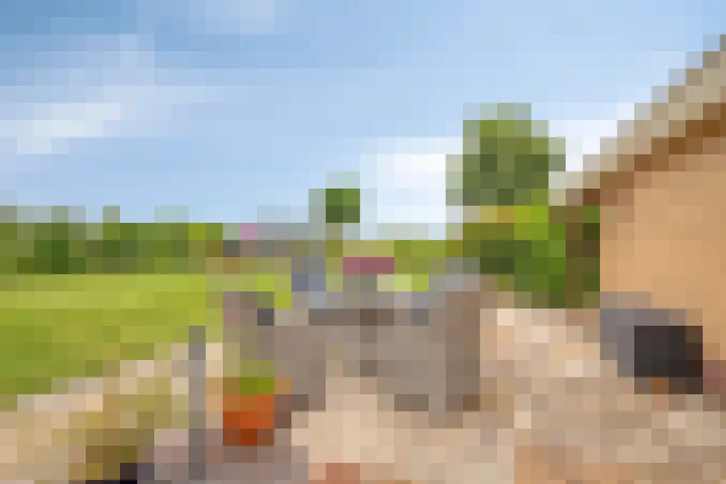 Herenweg 208 Wilnis thumbnail 45