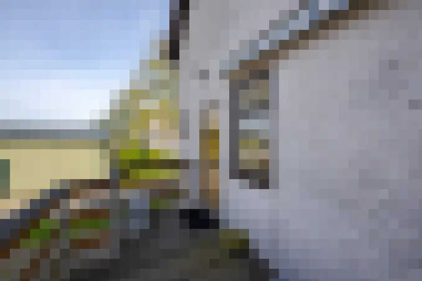 Herenweg 21 Rijnsaterwoude thumbnail 11