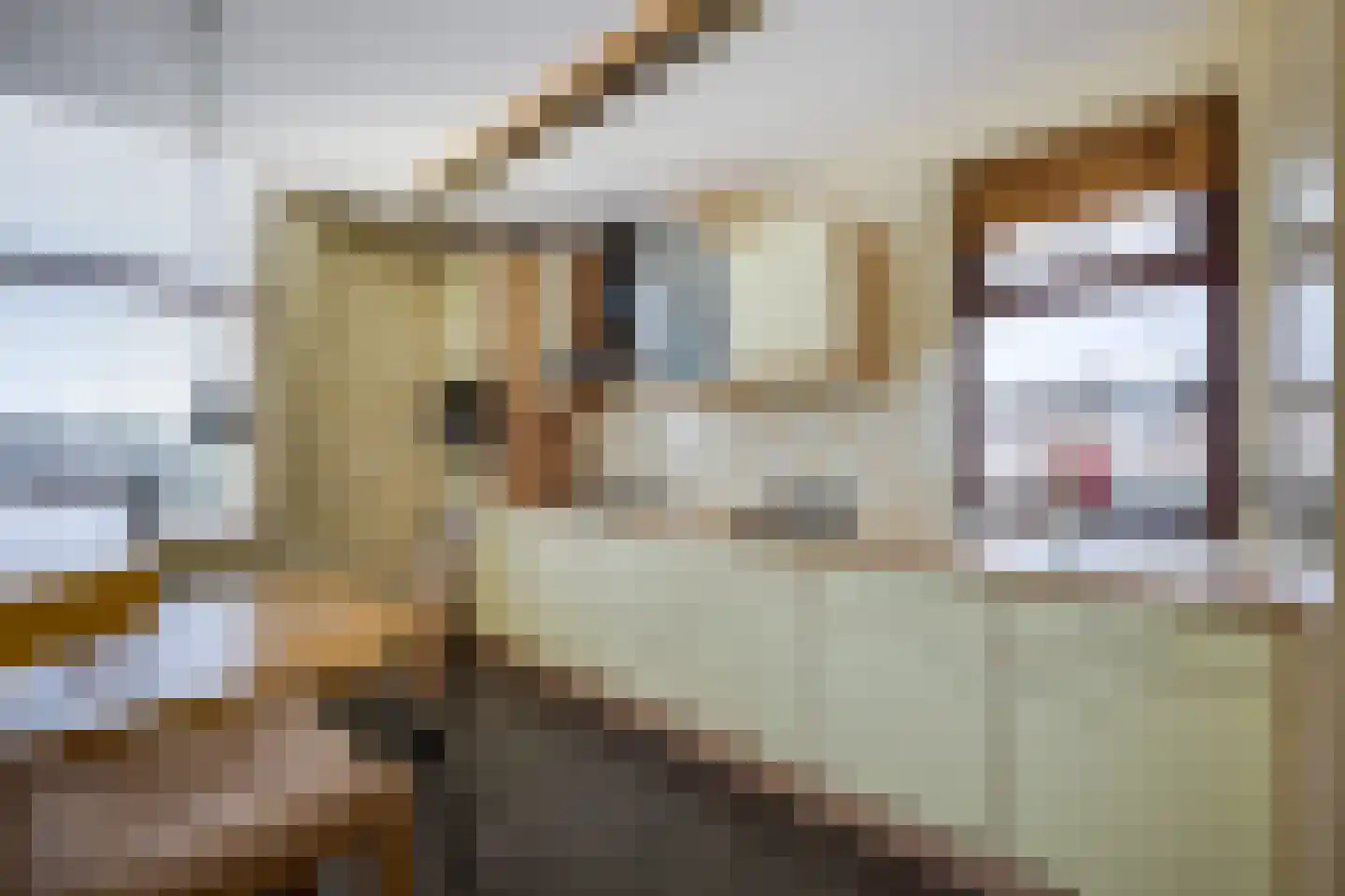 Herenweg 21 Rijnsaterwoude thumbnail 17