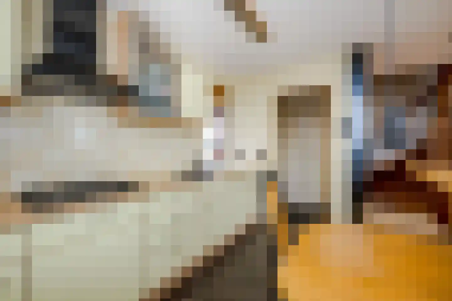 Herenweg 21 Rijnsaterwoude thumbnail 19