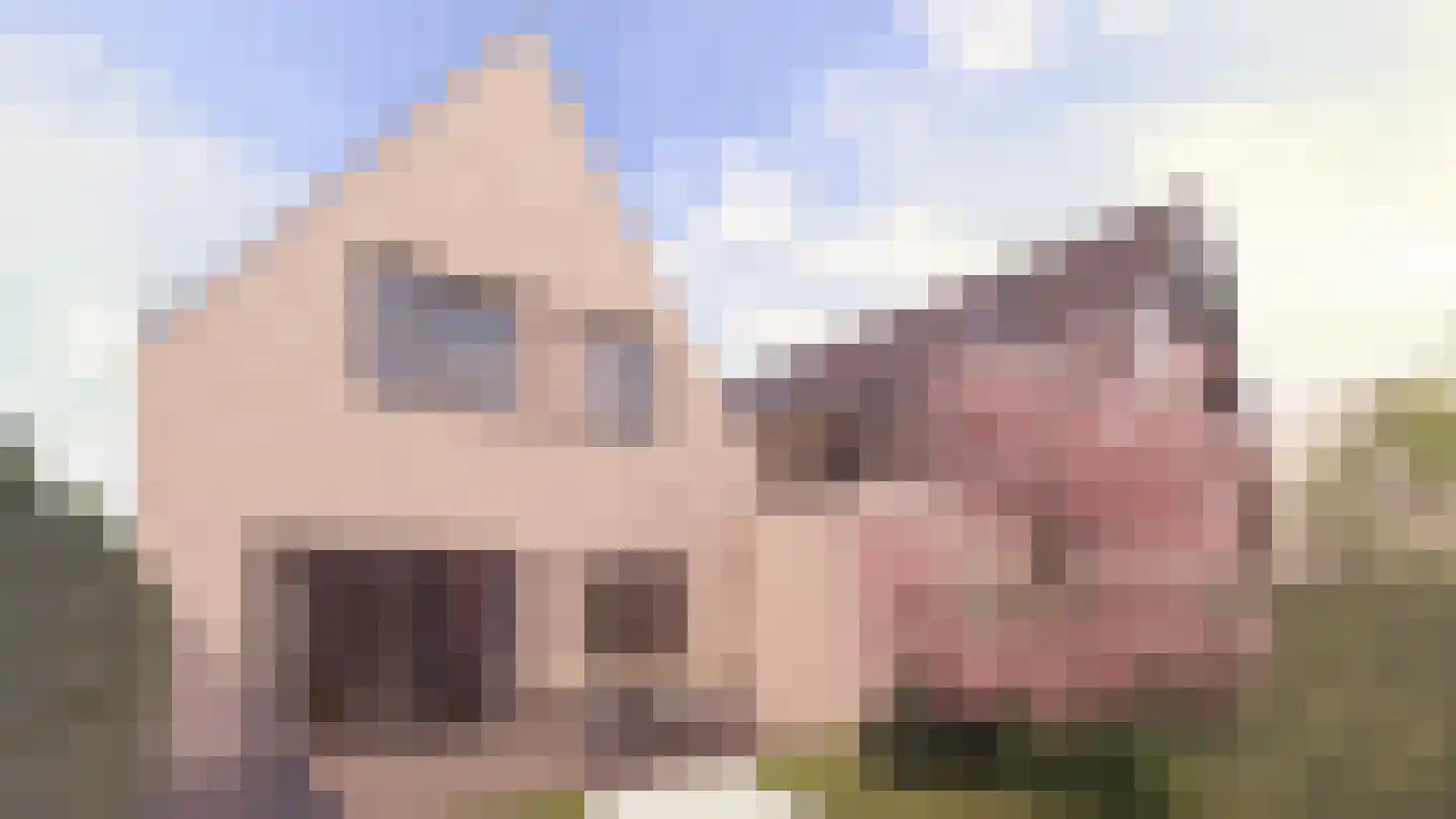 Herenweg 211 C Vinkeveen thumbnail 5