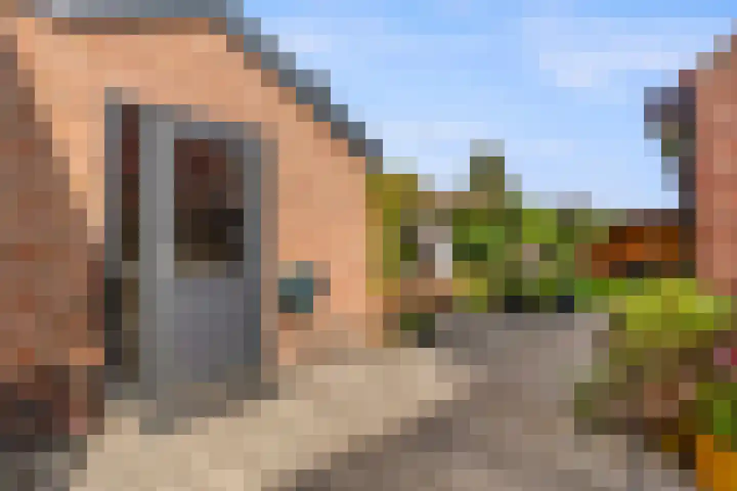Herenweg 214 Alkmaar thumbnail 31