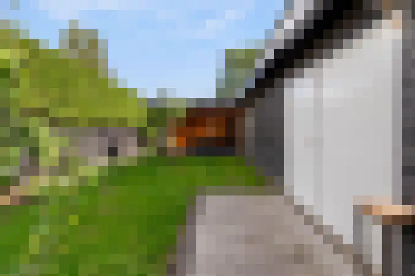 Herenweg 214 Alkmaar thumbnail 38