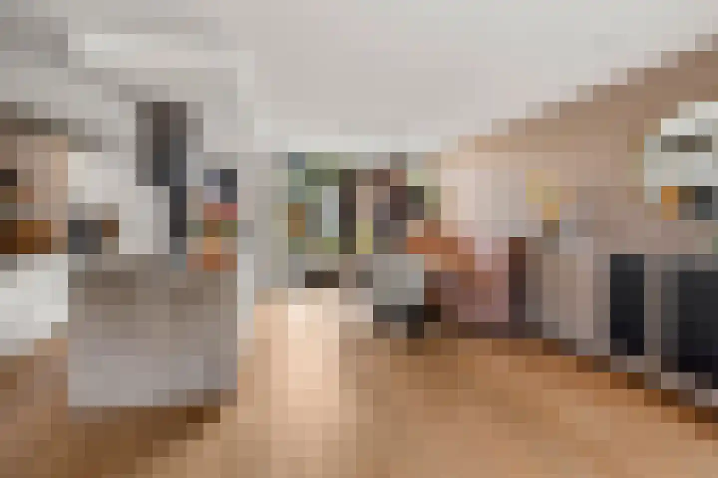 Herenweg 214 Alkmaar thumbnail 8