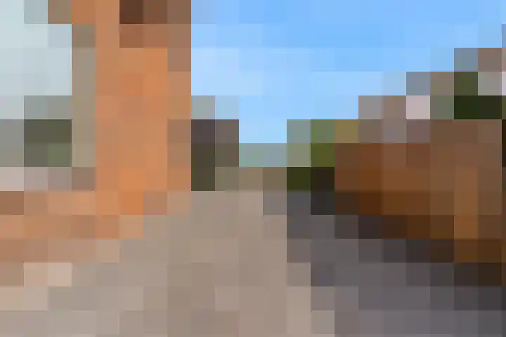 Herenweg 219 Wilnis thumbnail 35