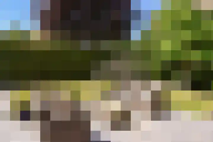 Herenweg 223 Wilnis thumbnail 12