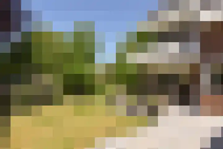 Herenweg 223 Wilnis thumbnail 13