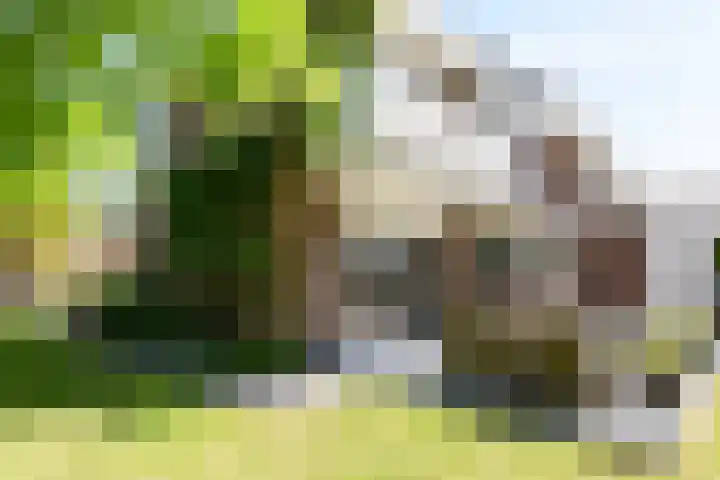 Herenweg 223 Wilnis thumbnail 14